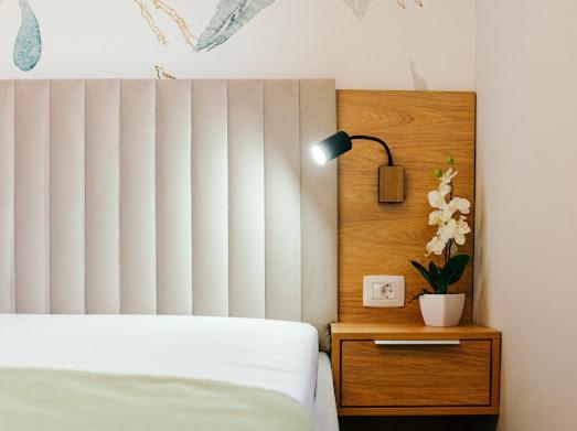 Ghimbav Rainforest Apartament מראה חיצוני תמונה